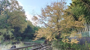 DSC_0552~2.JPG