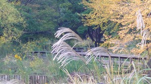 DSC_0587~2.JPG