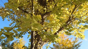 DSC_0594~2.JPG