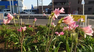 DSC_0616~2.JPG