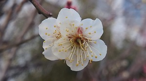 DSC_3891~3.JPG