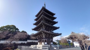 DSC_5208~2.JPG