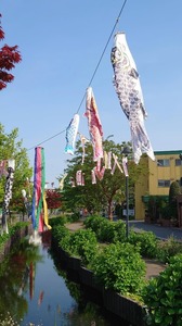 DSC_6870~2.JPG