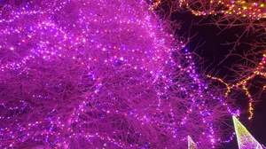 FB_IMG_1680616805510-acd7c.jpg