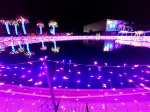 FB_IMG_1681305942397-ee7a7.jpg