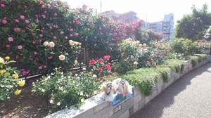 FB_IMG_1683551658986.jpg
