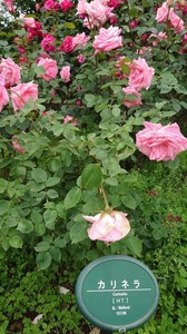 FB_IMG_1684847902628-6acd1.jpg