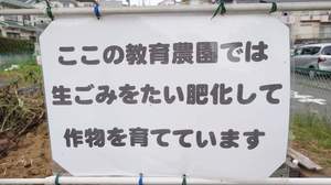 FB_IMG_1685801297367.jpg