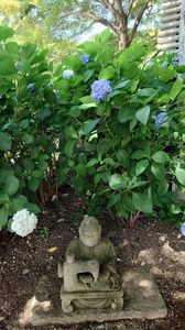 FB_IMG_1687356323254-c2014.jpg
