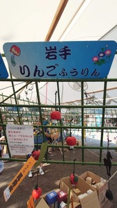 FB_IMG_1690031548181-65f53.jpg