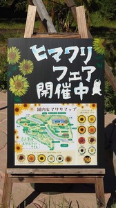 FB_IMG_1691588549847-a43d5.jpg