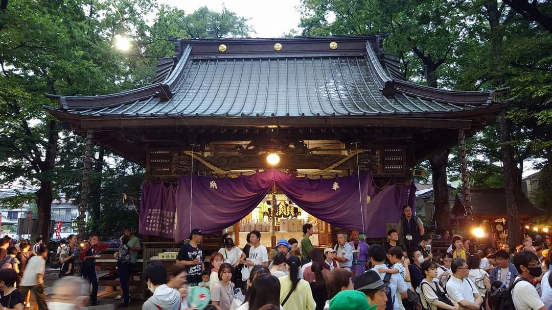 《川崎市中原区》〜川崎の夏の風物詩〜丸子山王祭 日枝神社例大祭 後編「大神輿御渡」 【川崎市の魅力再発見！】自由に歩もう「freedom」