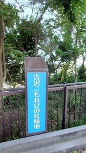 FB_IMG_1698835254323-ecd46.jpg