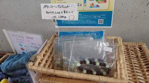 FB_IMG_1699188357787.jpg