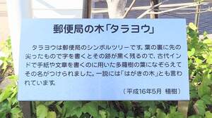 FB_IMG_1699880482785.jpg