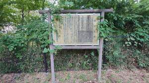FB_IMG_1700467692754-f8a60.jpg