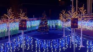 FB_IMG_1702368771393-08025.jpg