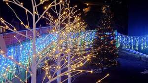 FB_IMG_1702368777282-fae19.jpg