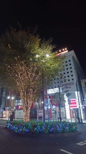 FB_IMG_1703317681968-8b78b.jpg
