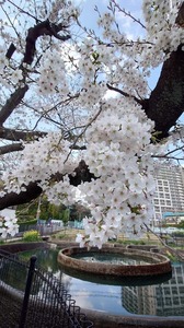 FB_IMG_1704005887888.jpg