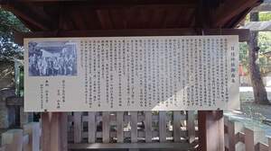 FB_IMG_1704196995795.jpg