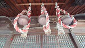 FB_IMG_1704547770105-c28d9.jpg