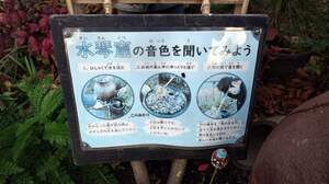 FB_IMG_1705585321331.jpg