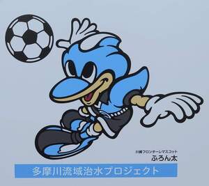 FB_IMG_1705844831246.jpg