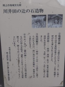 FB_IMG_1706620259429.jpg