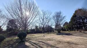 FB_IMG_1707660298717.jpg