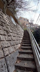 FB_IMG_1708346052069.jpg