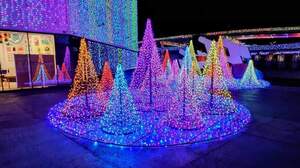 FB_IMG_1711116238879-af8a5.jpg