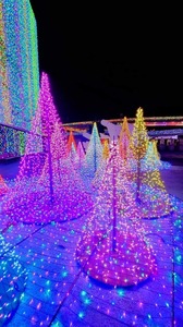 FB_IMG_1711116244270-e0e62.jpg