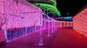 FB_IMG_1711629576898-c4da5.jpg