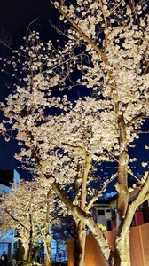 FB_IMG_1712995613615-d7ec6.jpg