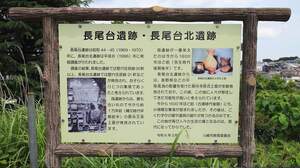 FB_IMG_1717935960675.jpg