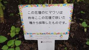 FB_IMG_1719927294396.jpg