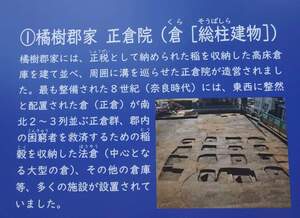 FB_IMG_1721223690393.jpg