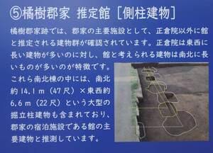FB_IMG_1721223709812.jpg