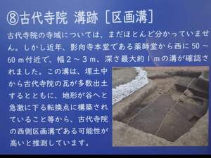 FB_IMG_1721223723089.jpg