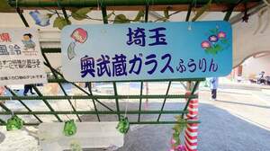 FB_IMG_1721997523738.jpg