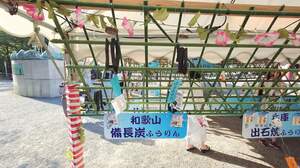 FB_IMG_1722002165733.jpg