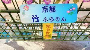 FB_IMG_1722002176333.jpg