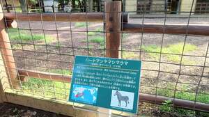 FB_IMG_1725778900462.jpg