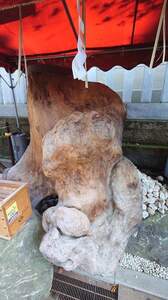 FB_IMG_1728048327944-d4409.jpg