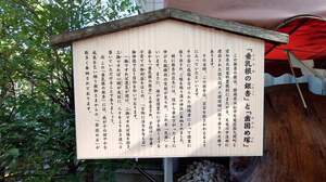 FB_IMG_1728048332857-867fc.jpg