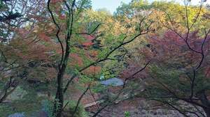 FB_IMG_1732715760697-6a730.jpg