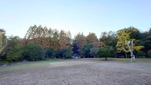 FB_IMG_1732976813724.jpg