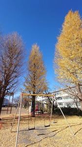 FB_IMG_1733732828473-3a665.jpg