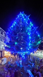 FB_IMG_1734704189540-a3d81.jpg